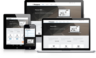 Web漏洞扫描工具